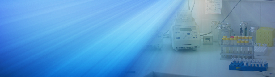 Full Width Page Type Image